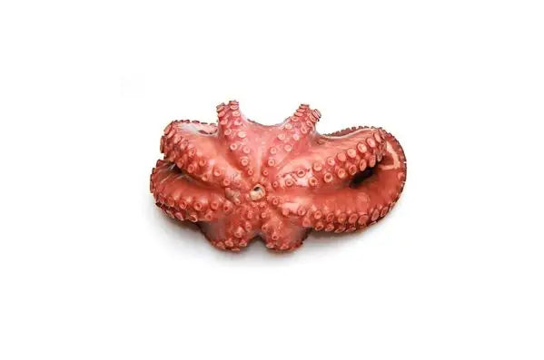 Pulpo cocido (kg)